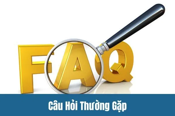 Tại Sao Nên Tải App Nohu90 Ngay Hôm Nay?